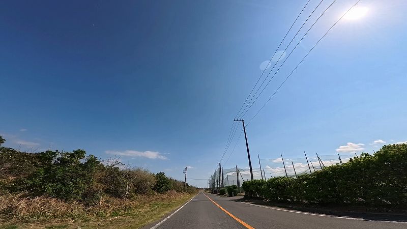 シーサイド道路